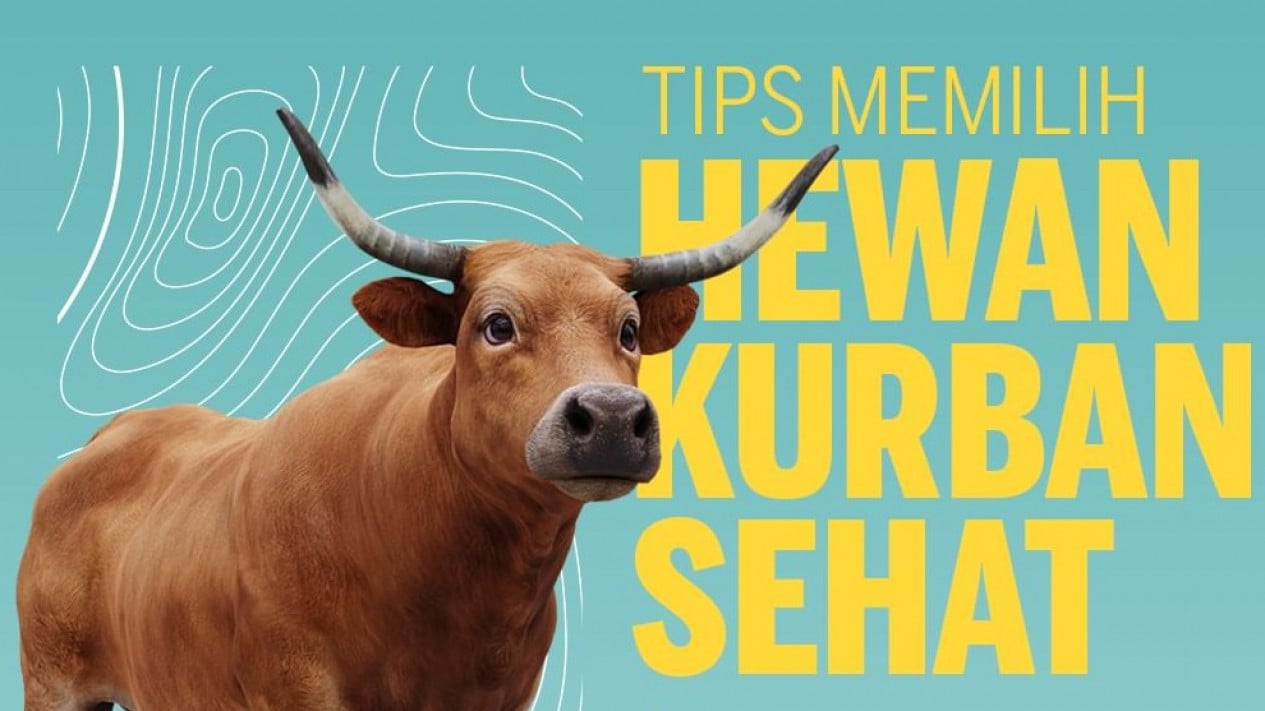 Tips Memilih Hewan Kurban Sehat